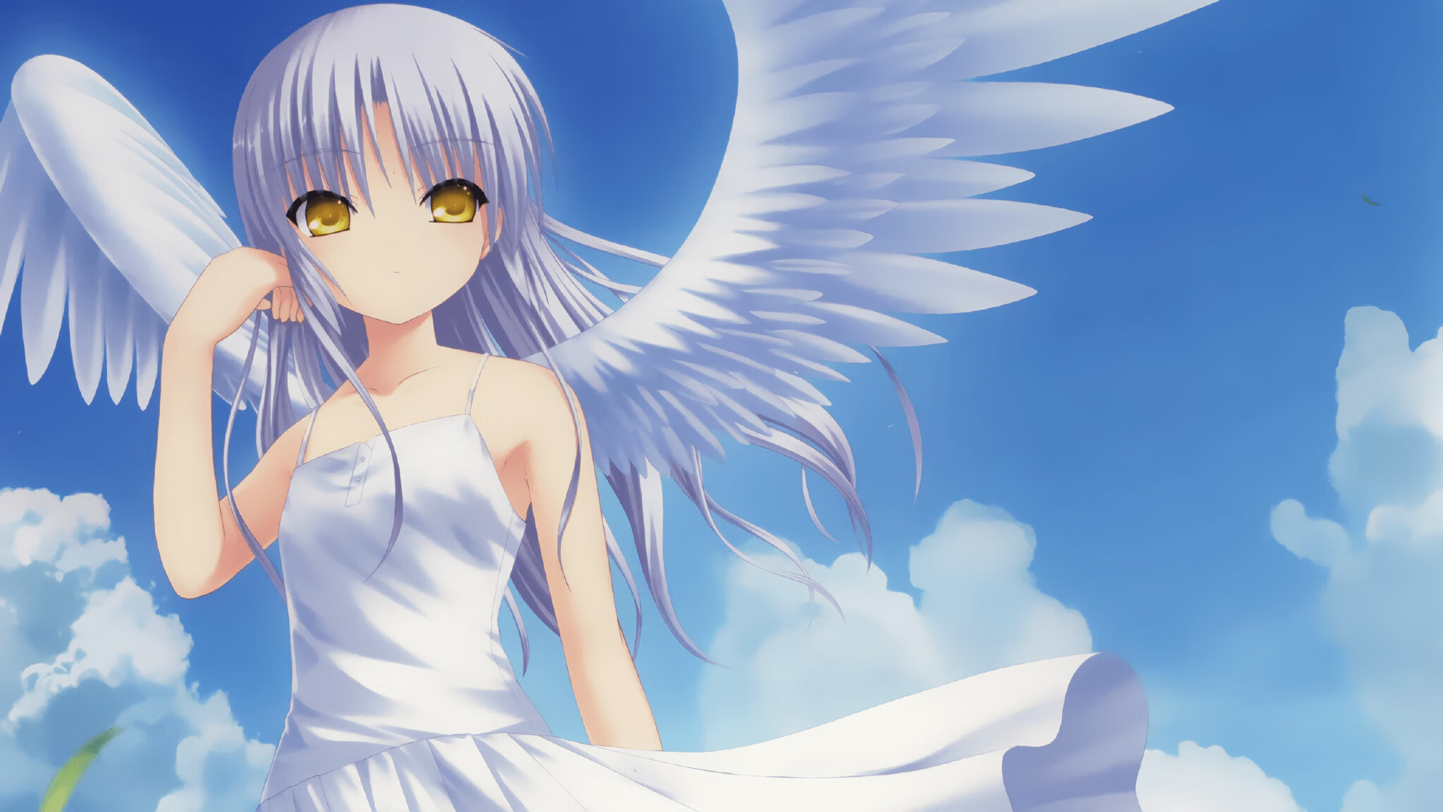 澳大利亚袋鼠队的战略支柱:戴维·帕特森 (David Patterson),袋鼠在澳大利亚的现状