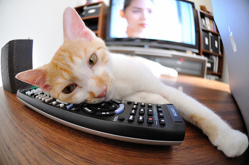 球迷自制视频走红社交平台,提升联赛话题度,球星素材视频