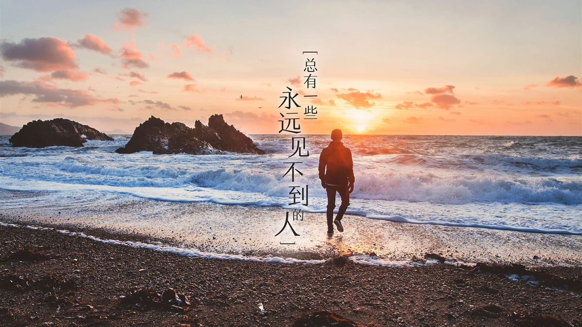 美洲杯最激情时刻:团结与拼搏的象征,美洲 杯