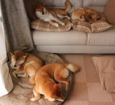 华体会登录入口-美洲杯运动员的科学训练内容，美洲杯运动员的科学训练内容是什么