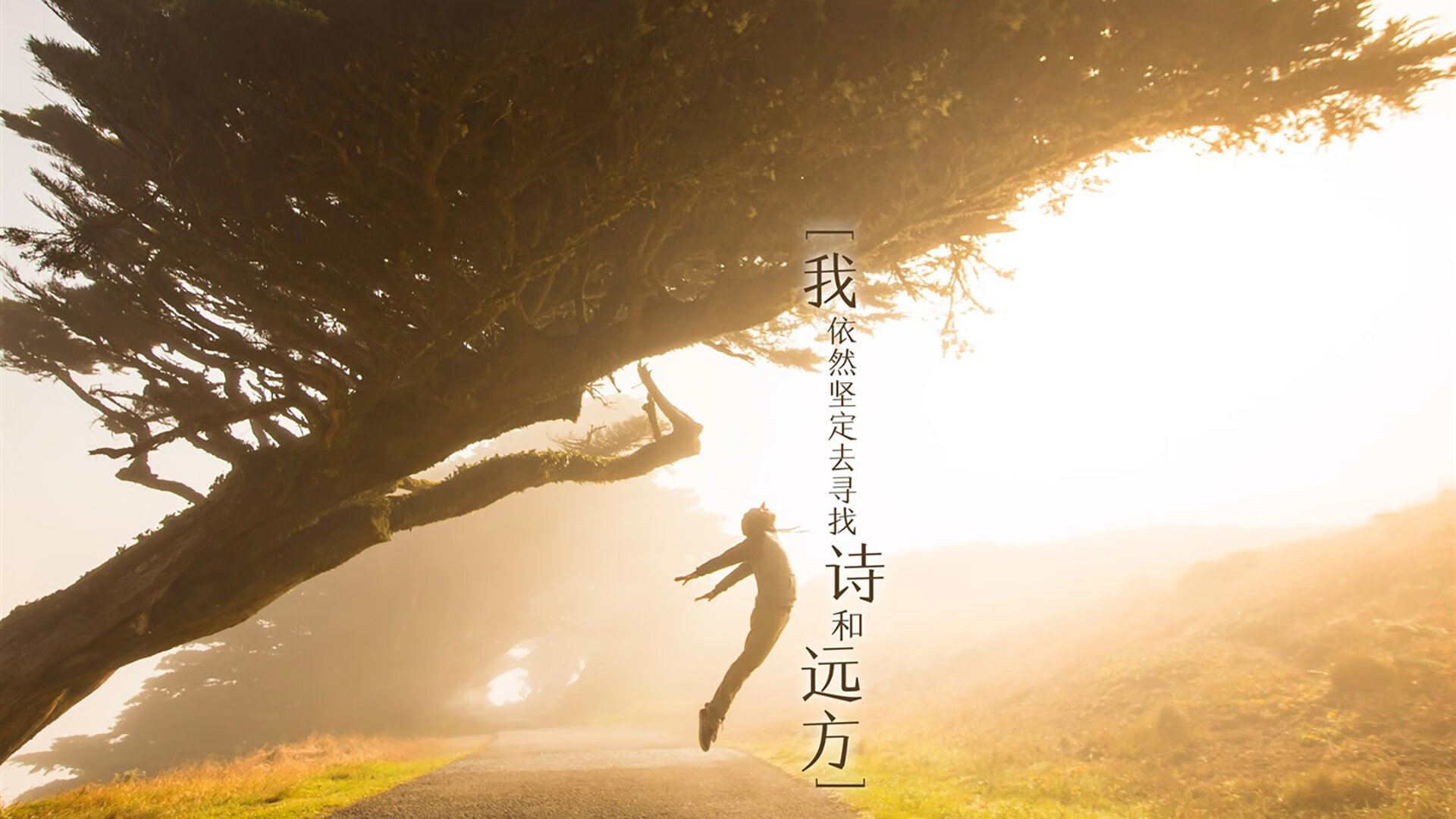 苏格兰橄榄球重建期,年轻球员逐步担当重任,苏格兰球是什么运动